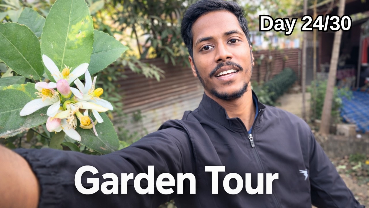 Garden Tour of my House