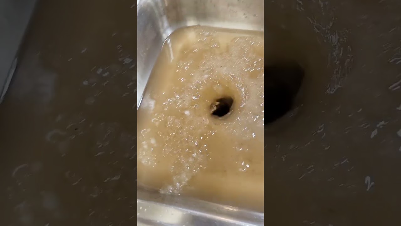 How to clean your garbage disposal?