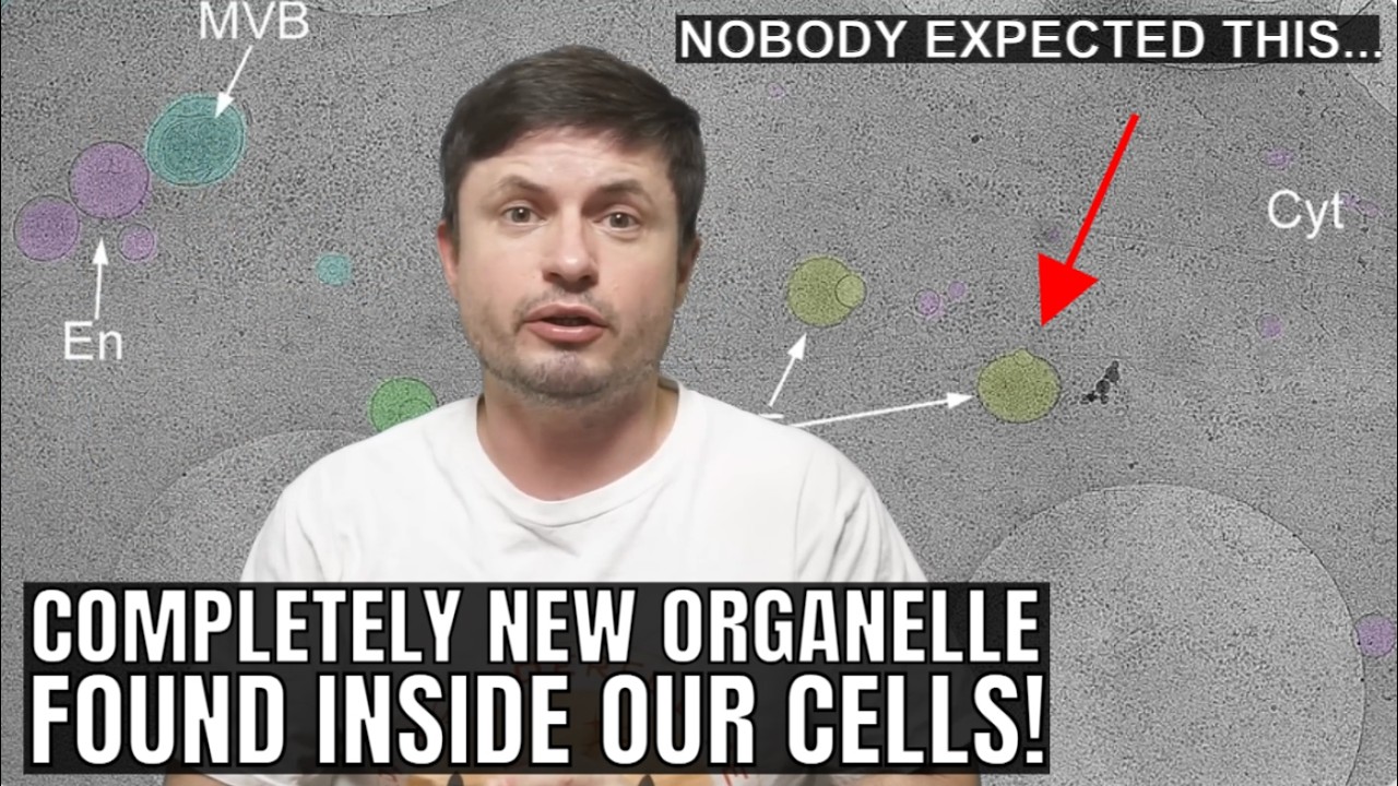 Our Cells Have Been Hiding New Organelles and Scientists Just Found Them