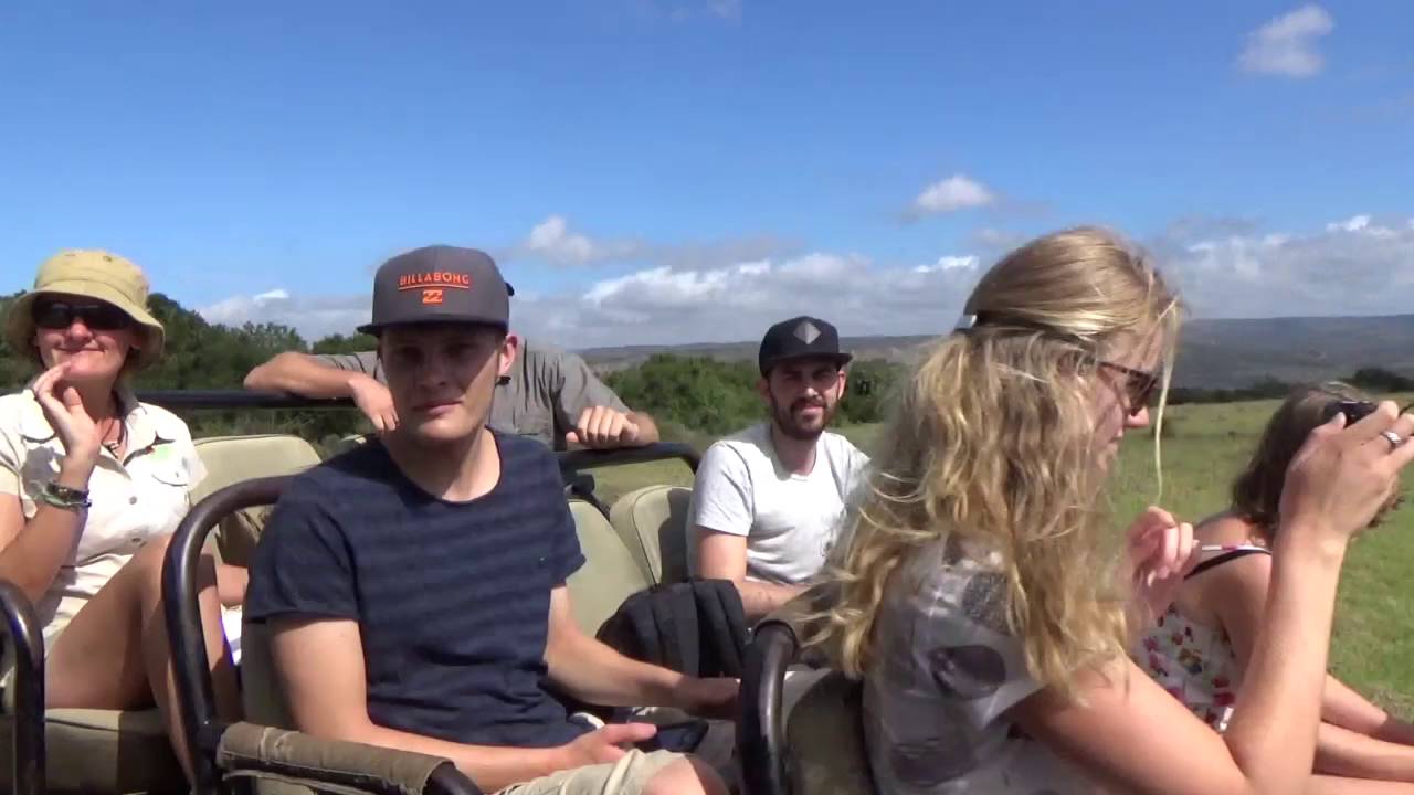 Game Drive at Amakhala | Africa vlogs