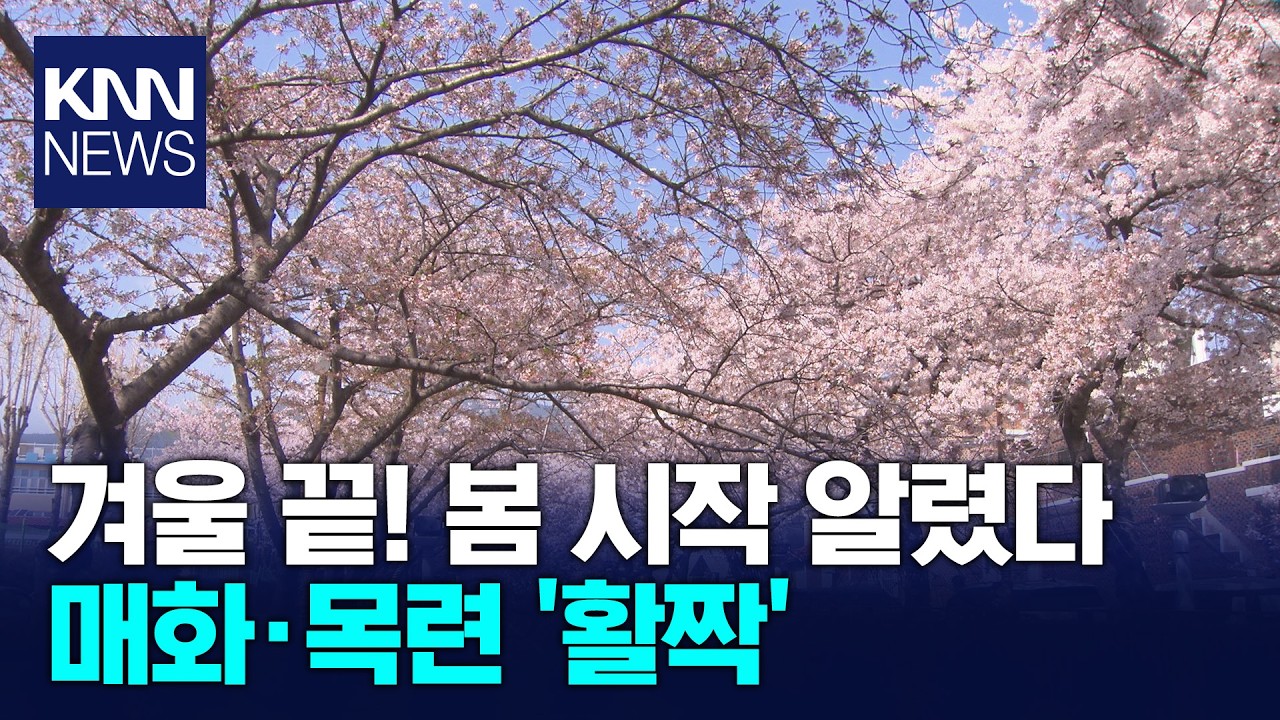 '매화·목련·벚꽃' 봄을 알리는 봄꽃 릴레이 / KNN