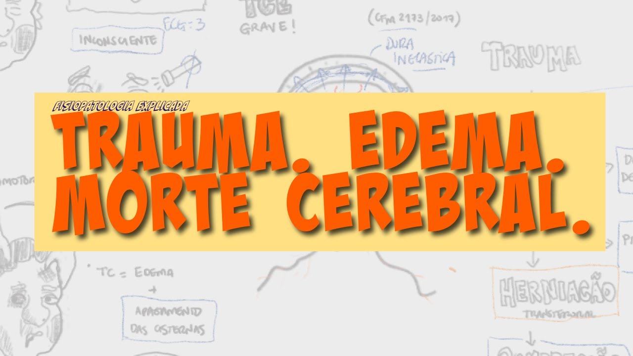 Como o Trauma Craniano Leva à Morte Encefálica? | Fisiopatologia Desenhada e Explicada