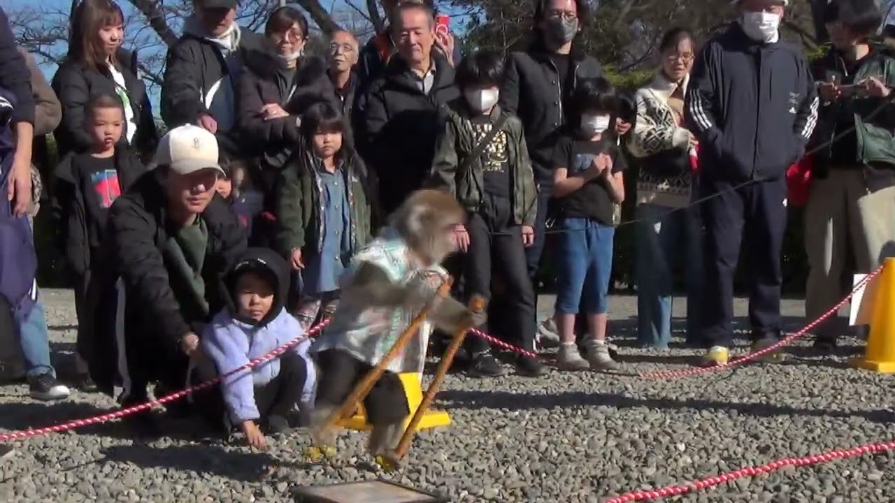 20250102 池上本門寺猿回し