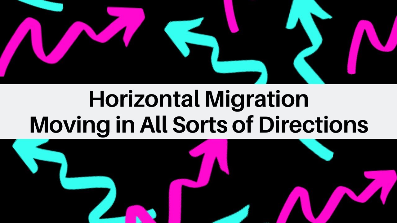 Horizontal Migration Continues & Deployment of a Bait Cup