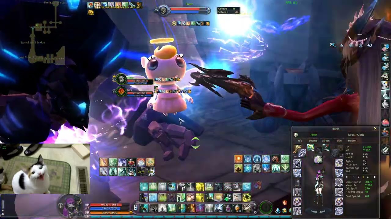 Aion 4.6 Duo Sauro Cleric/Gunner (Evq)