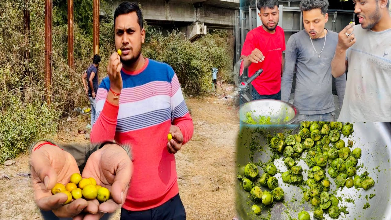 জঙ্গল থেকে কুল নিয়ে এসে কাঁচা লঙ্কার ধনেপাতা দিয়ে মাখিয়ে সবাই খুব মজাকরে খেলাম | Kul Makha Chaat 