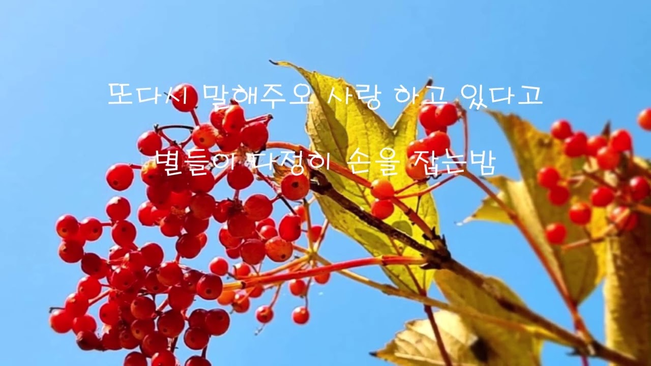 뜨거운 안녕 에어로폰