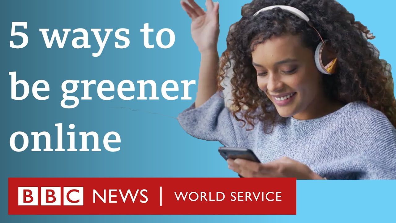 How to make your internet use greener - BBC World Service