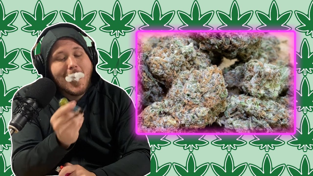 Crunch Berries Review Hybrid-Indica Dominant