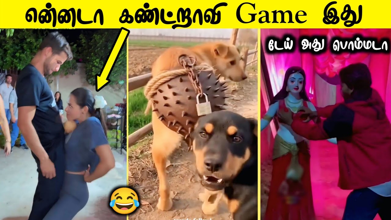 Funniest videos of 2026