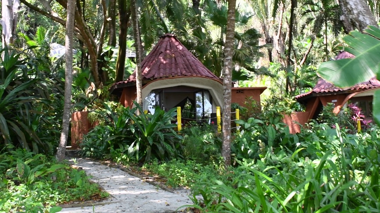 Herb Eimerman @ Ylang Ylang...Montezuma, Costa Rica