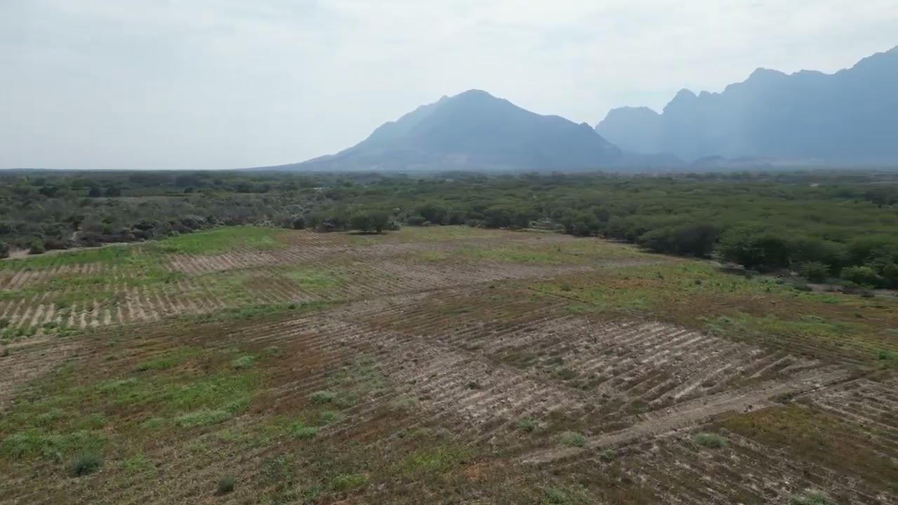 FUNDO CON AGUA Y RIEGO TECNIFICADO EN VENTA - OLMOS LAMBAYEQUE PARA CULTIVO DE ARANDANOS