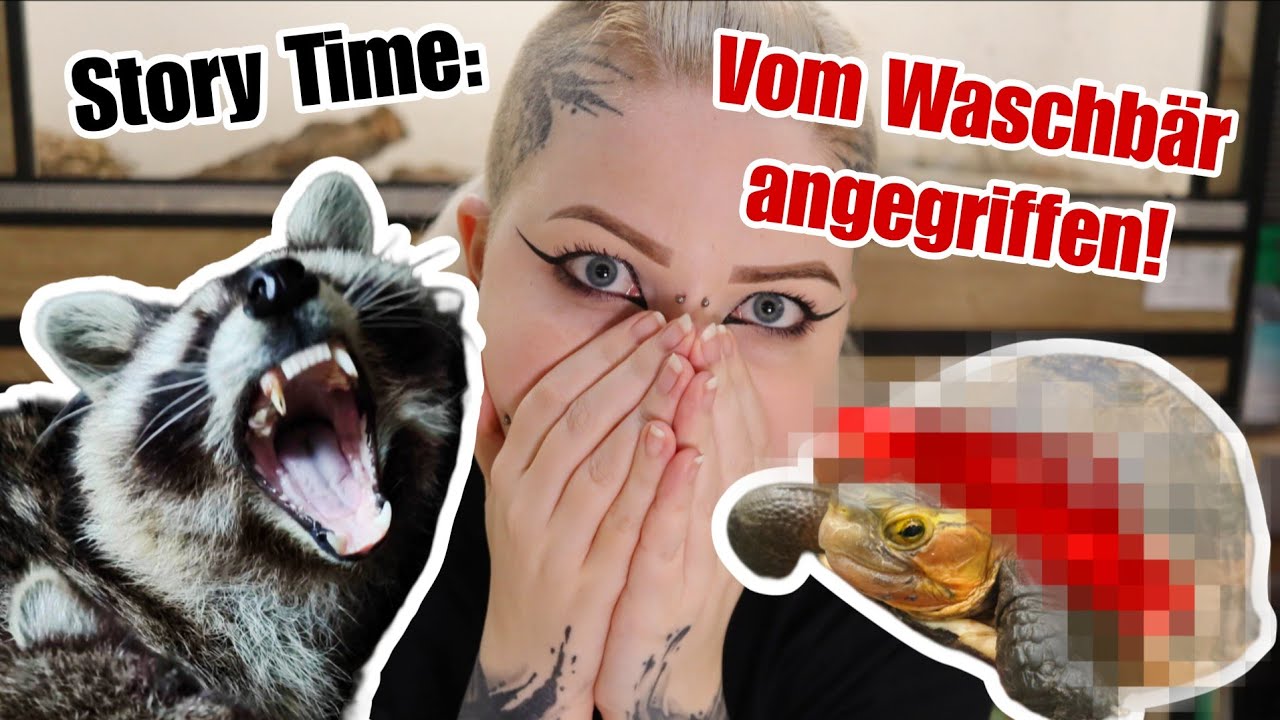 Story Time: Waschbär 🦝 greift unsere Schildkröten an!😱🐢| Liliths Colorful Garden