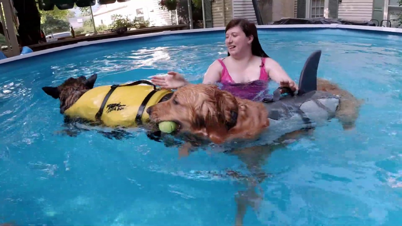 Ilsa and Niko in 