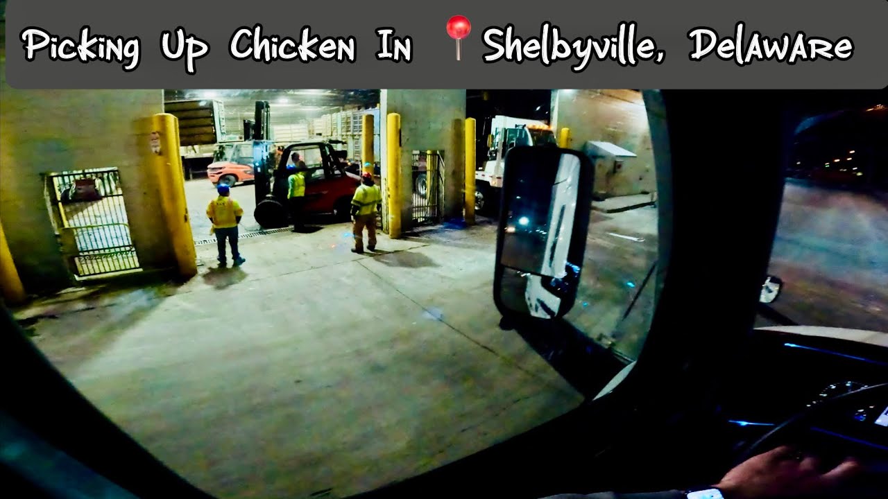 Picking Up Chicken In 📍Shelbyville, Delaware 