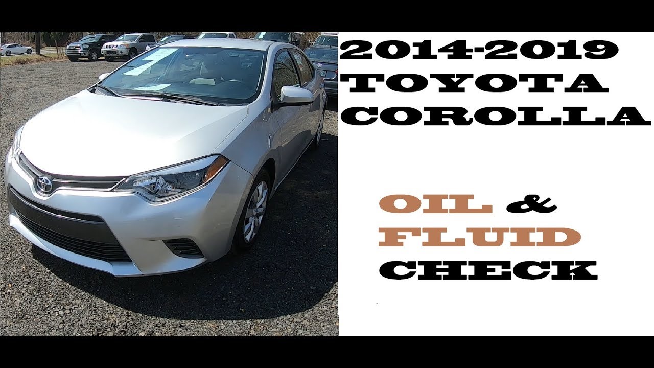 Как проверить масло и жидкости в Toyota Corolla 2014-2019