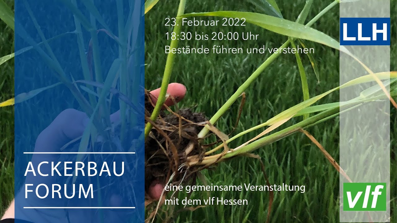 Digitales LLH Ackerbauforum: Best&auml;nde f&uuml;hren und verstehen