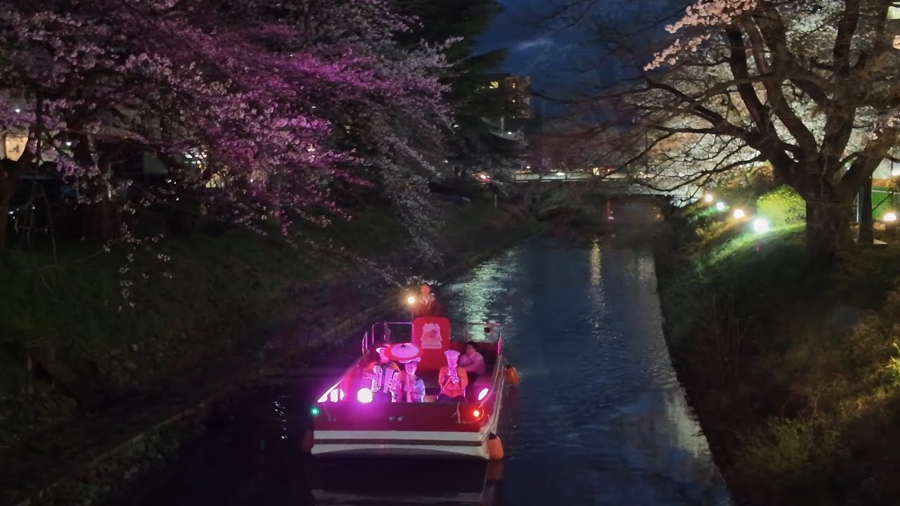 全日本チンドンコンクール 前夜祭 幽玄チンドン夜桜流し　第71回  2025年　04 04