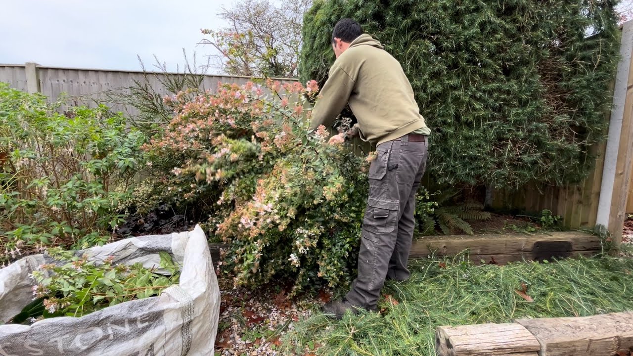 Tidying up Homeowners Property ready to sell