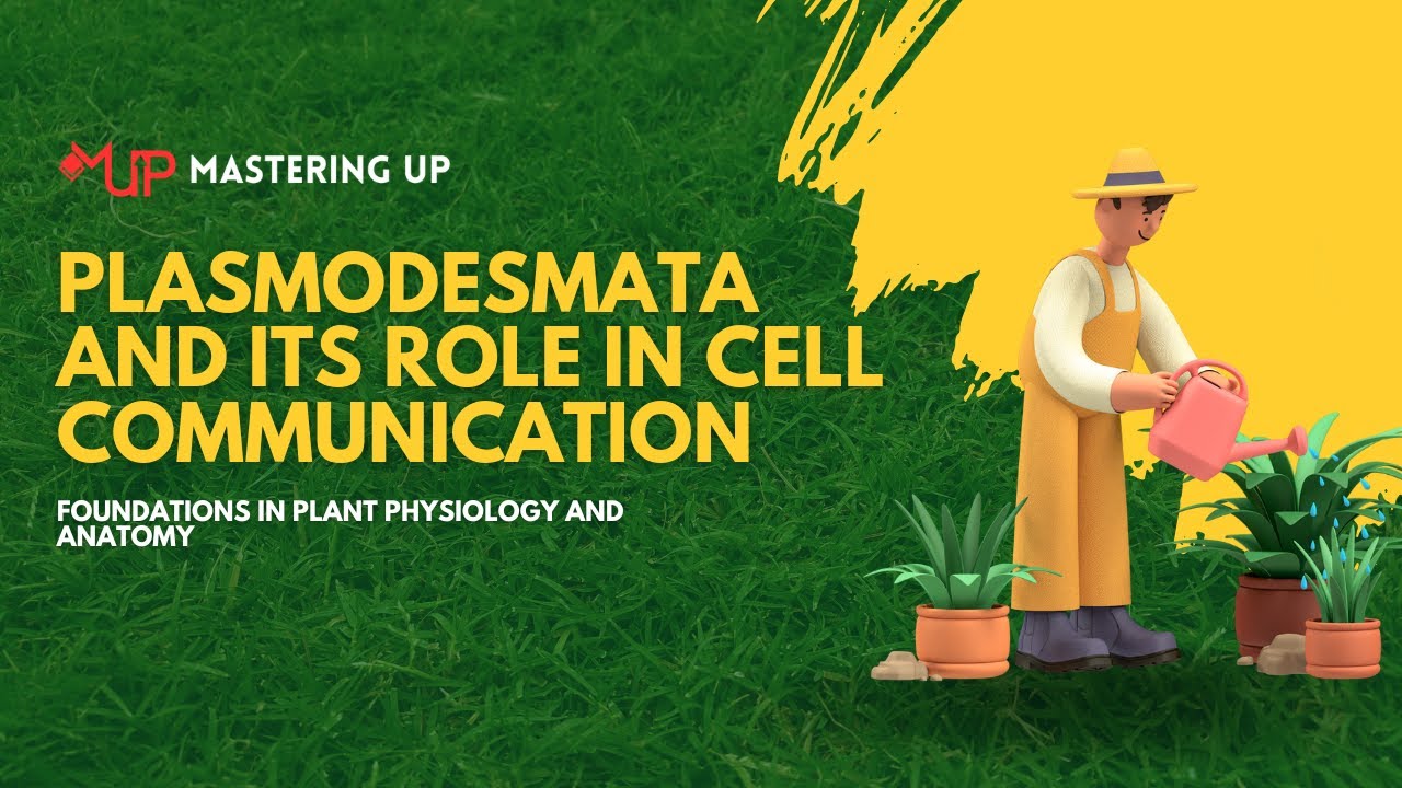 Plasmodesmata & Their Role in Cell Communication | #13