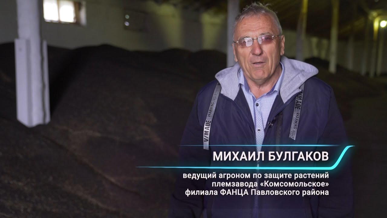 Беспроигрышный вариант на рапсе