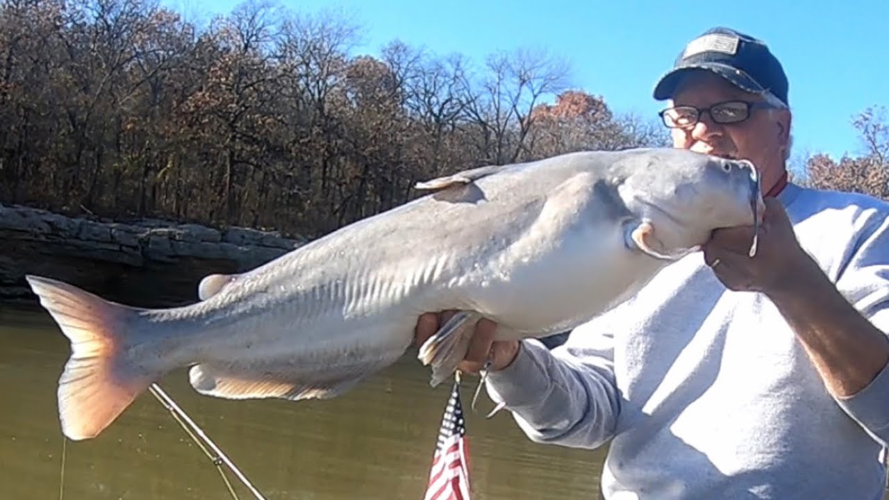 Fall Catfishing | Suspend Fishing | BOR Fishing