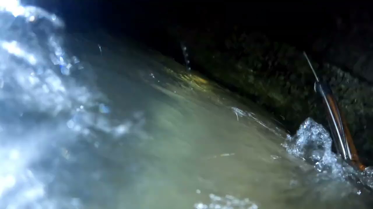 Diving at night in the river to catch lobsters