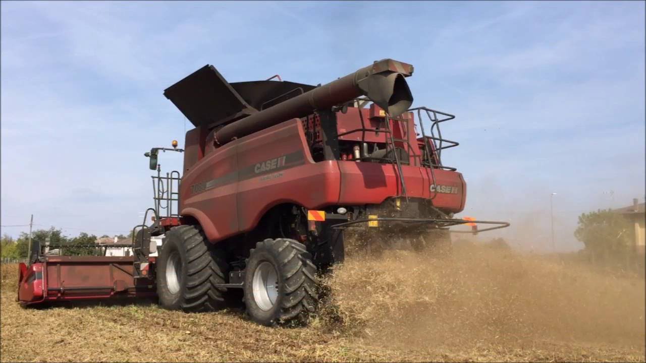 Trebbiatura soia con Case IH axial-flow 7088..