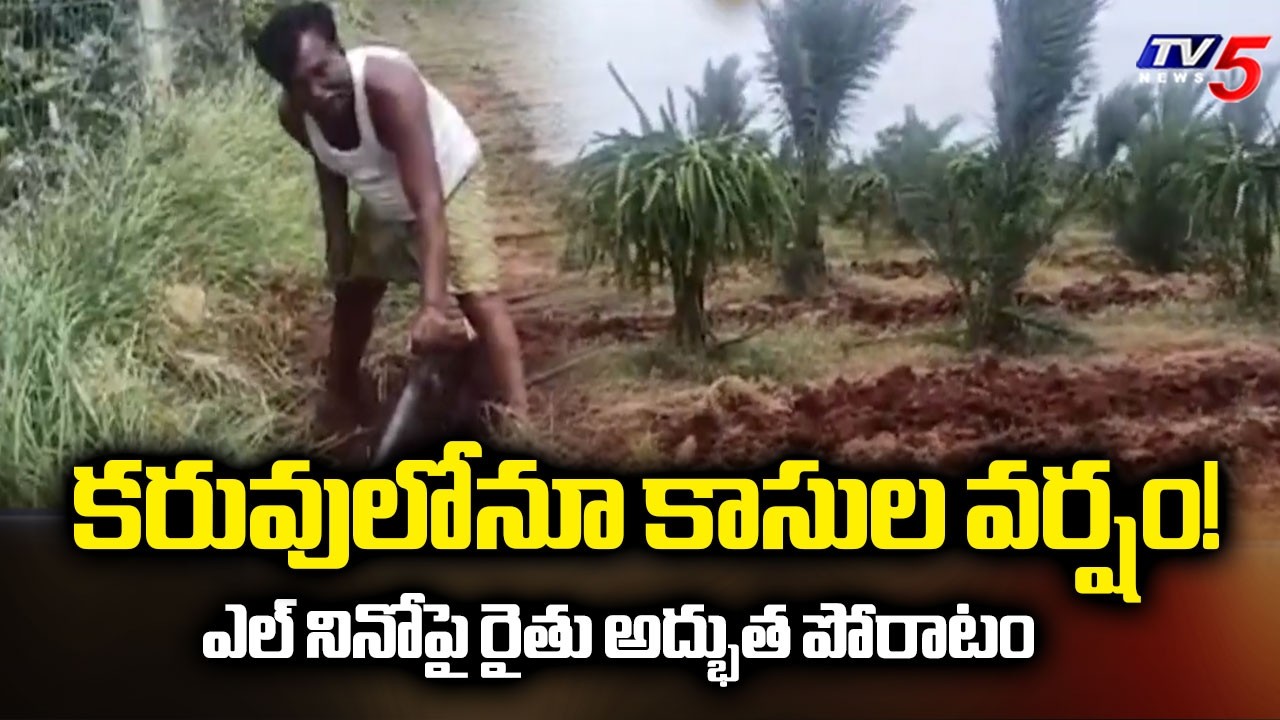 కరువును జయించిన రైతు కథ! | Farmer Innovative Farming Methods in Kurnool | El Nino | TV5 News
