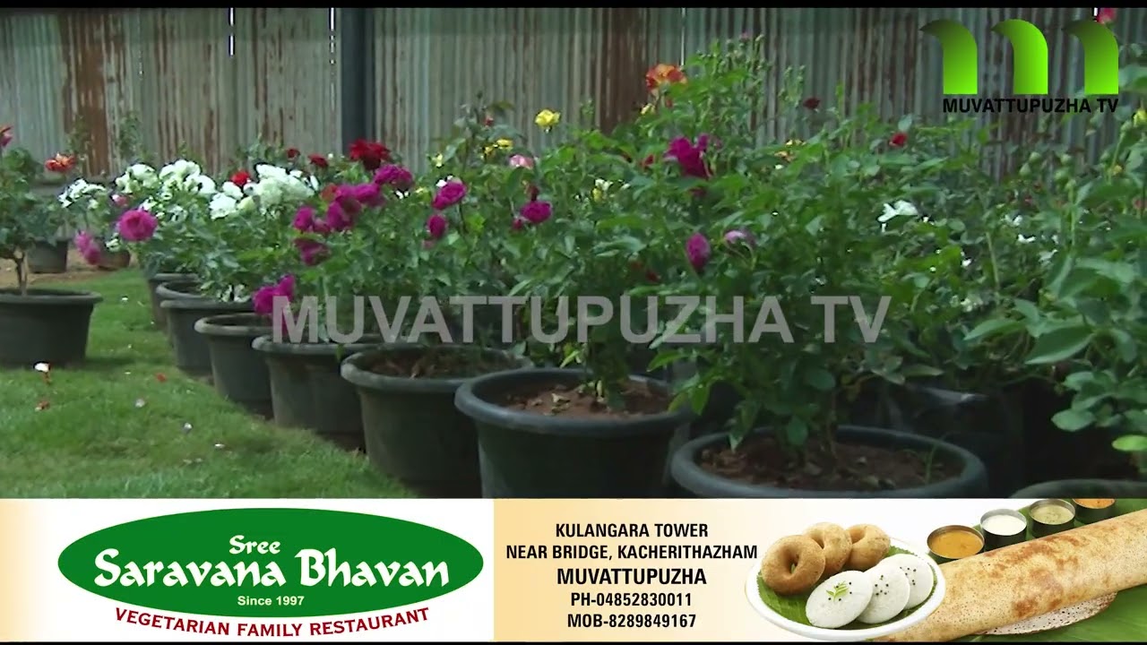 മൂവാറ്റുപുഴക്കാര്‍ക്ക് കാഴ്ചകളുടെ വിരുന്നൊരുക്കി ഫ്ലവര്‍ ഷോ...