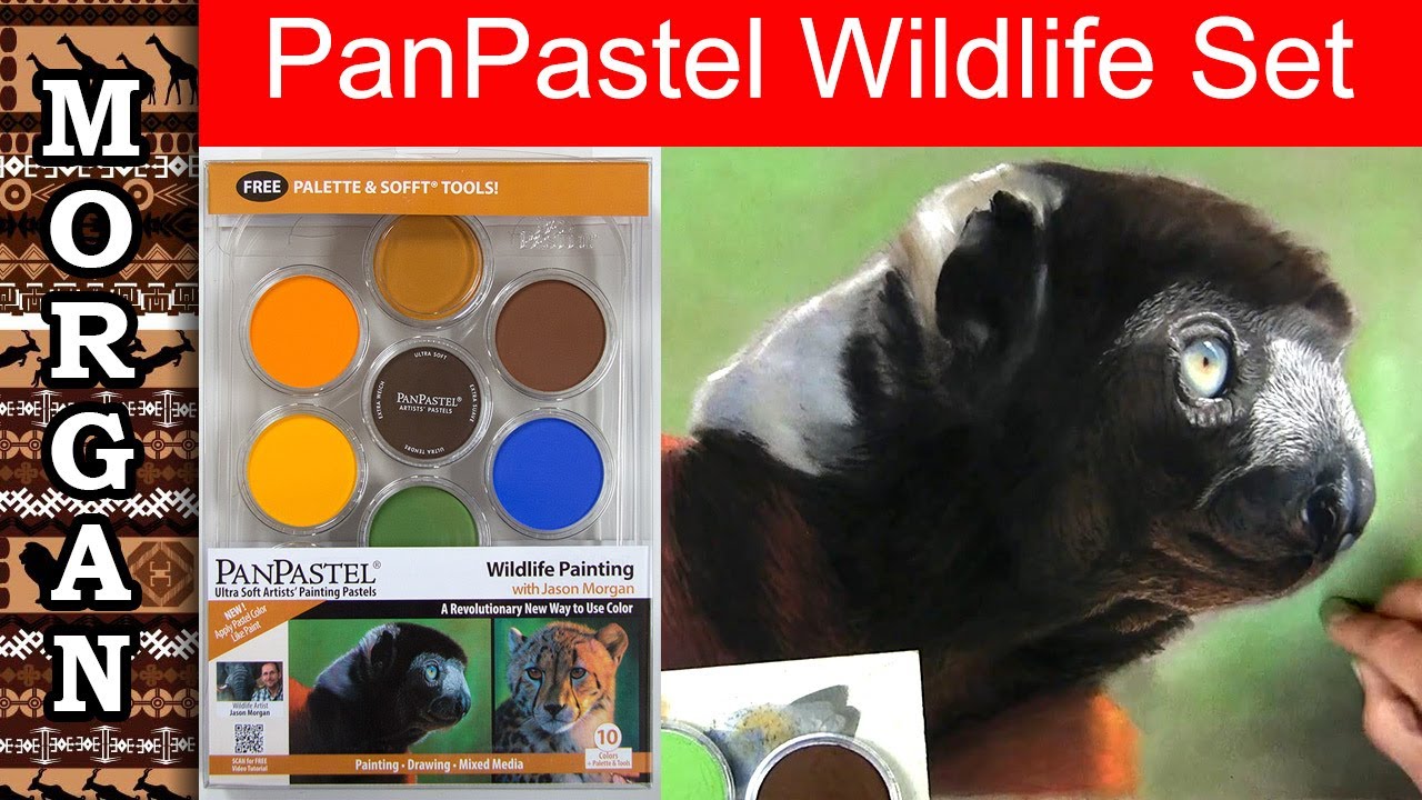PanPastel techniques : NEW Wildlife Art Pastel Set - Jason Morgan