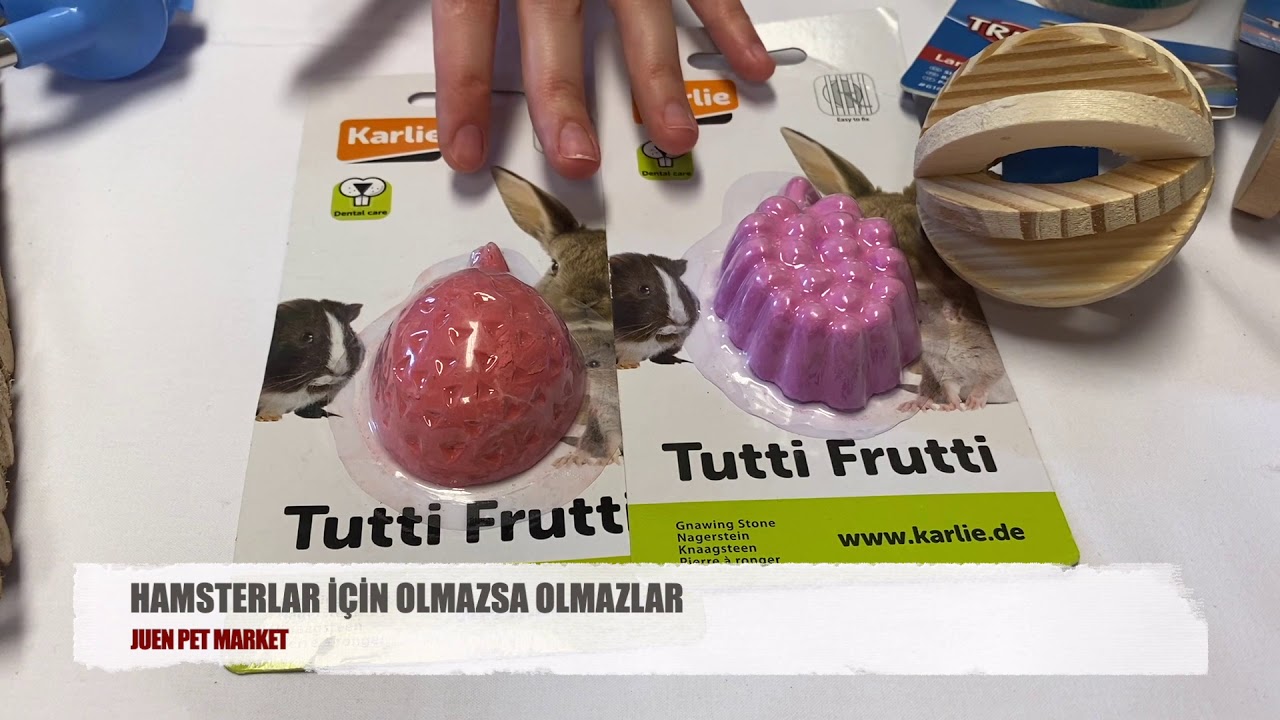 Hamsterlar için olmazsa olmazlar