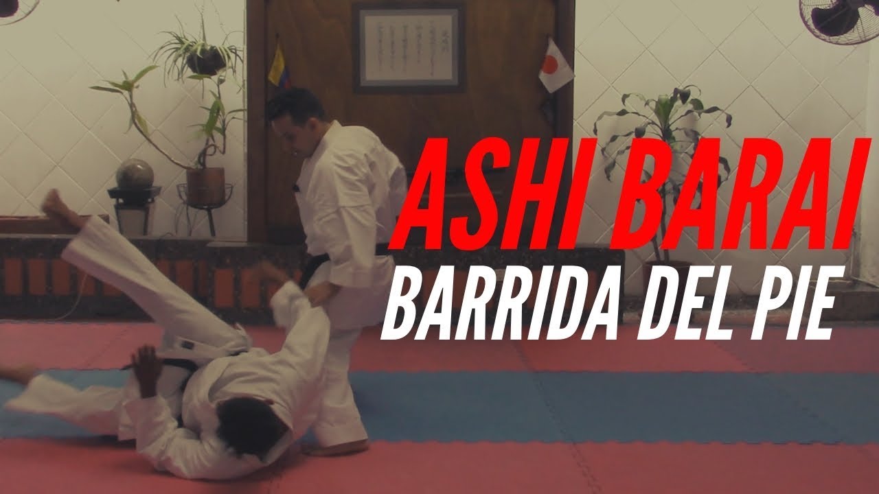 🙌C&oacute;mo HACER una BARRIDA🦶 en KARATE