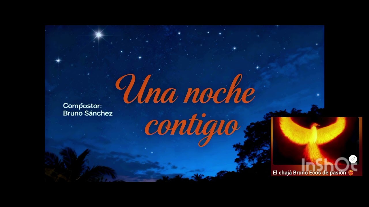 Una noche contigo