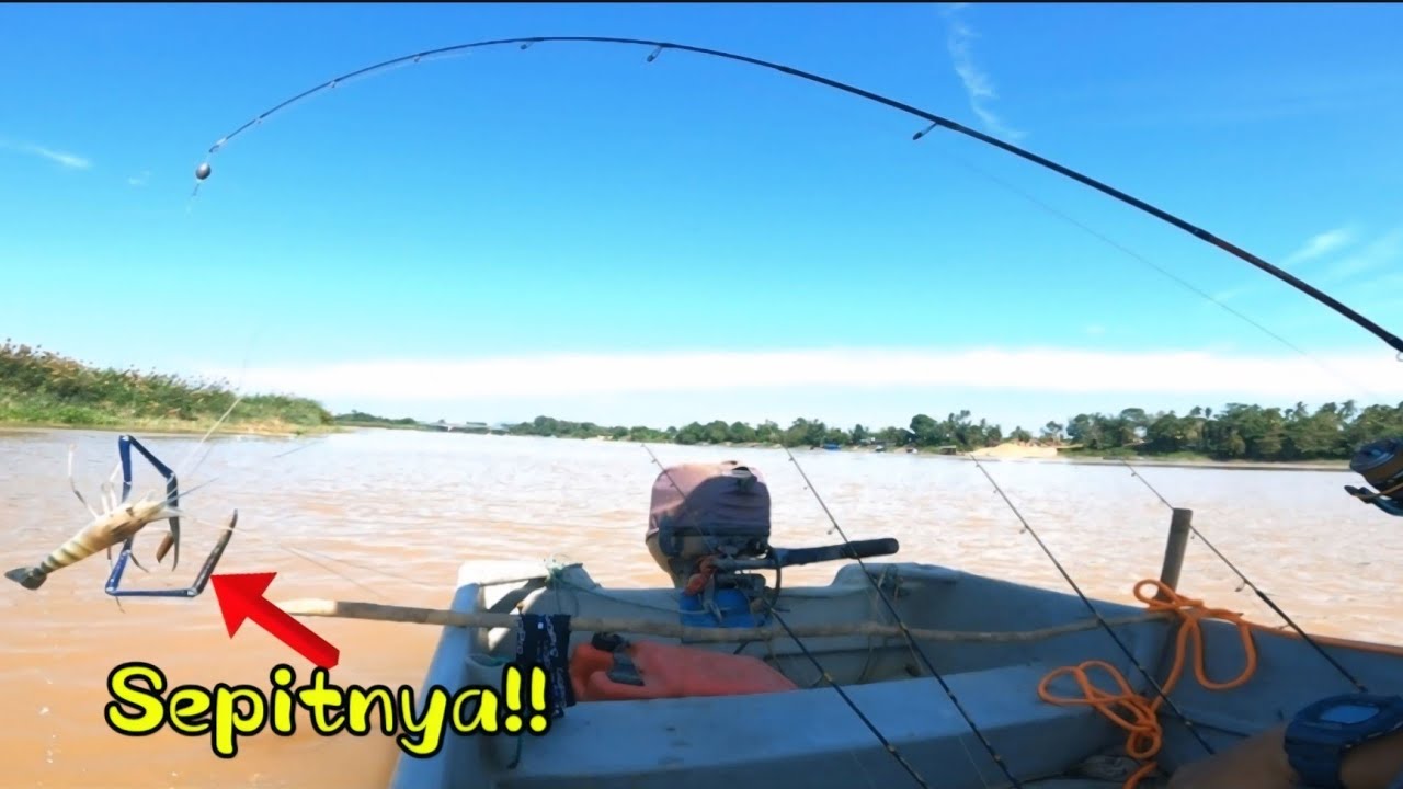 Pancing udang galah sungai pahang (Paloh Hinai) @SumberAlamChannel86