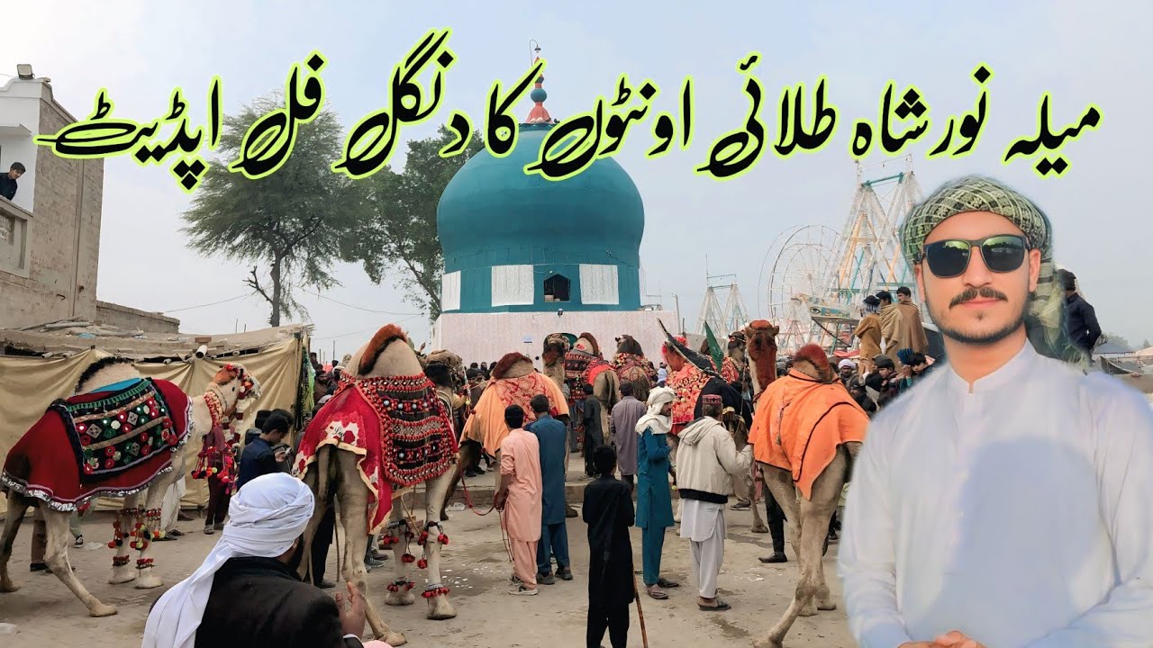 Mela Noor shah talai update with Untho ka dangle | Camel dangle and camel show 