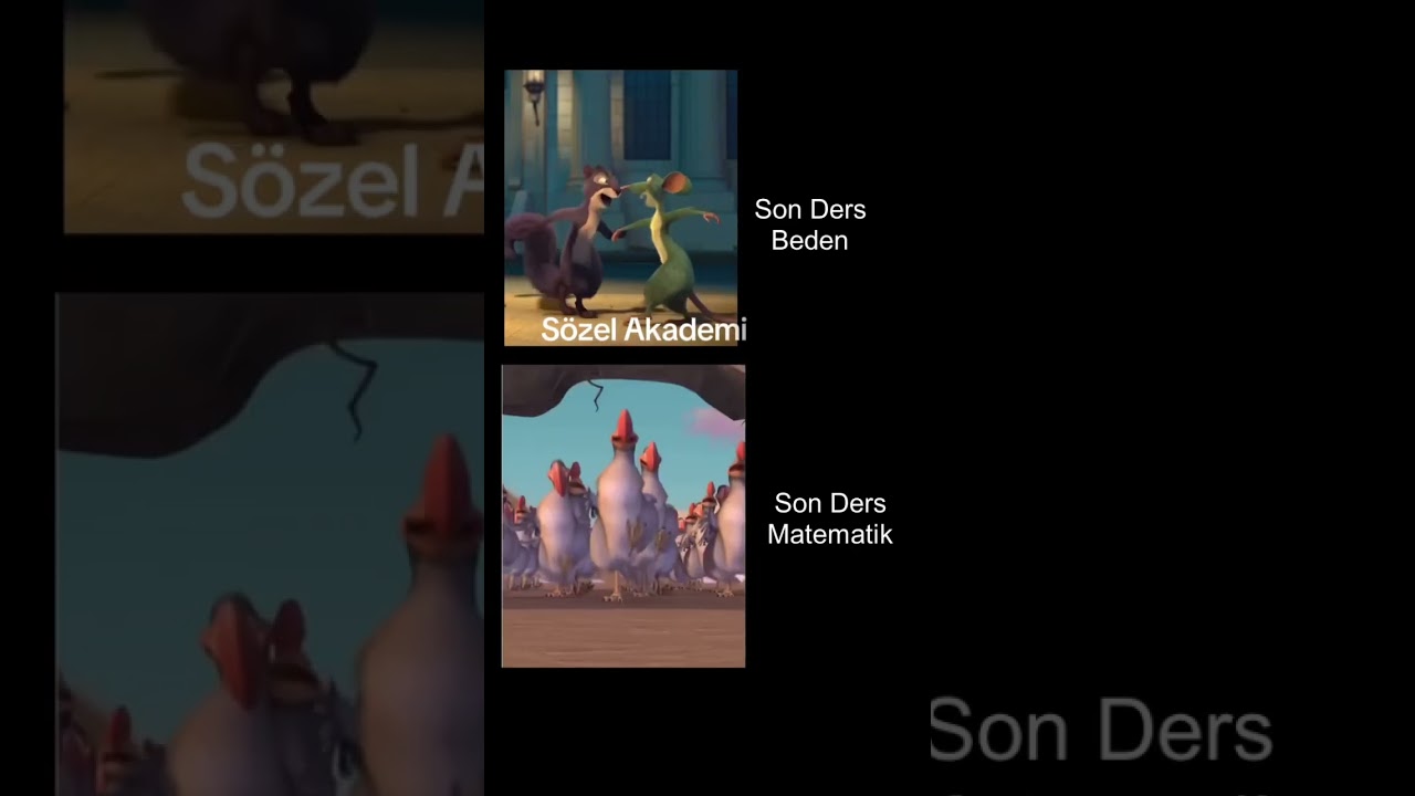 Son Derse G&ouml;re Sınıflar #lgs2026 #lise #ilkokul #ortaokul #matematik #fen #sosyalbilgiler #t&uuml;rk&ccedil;e