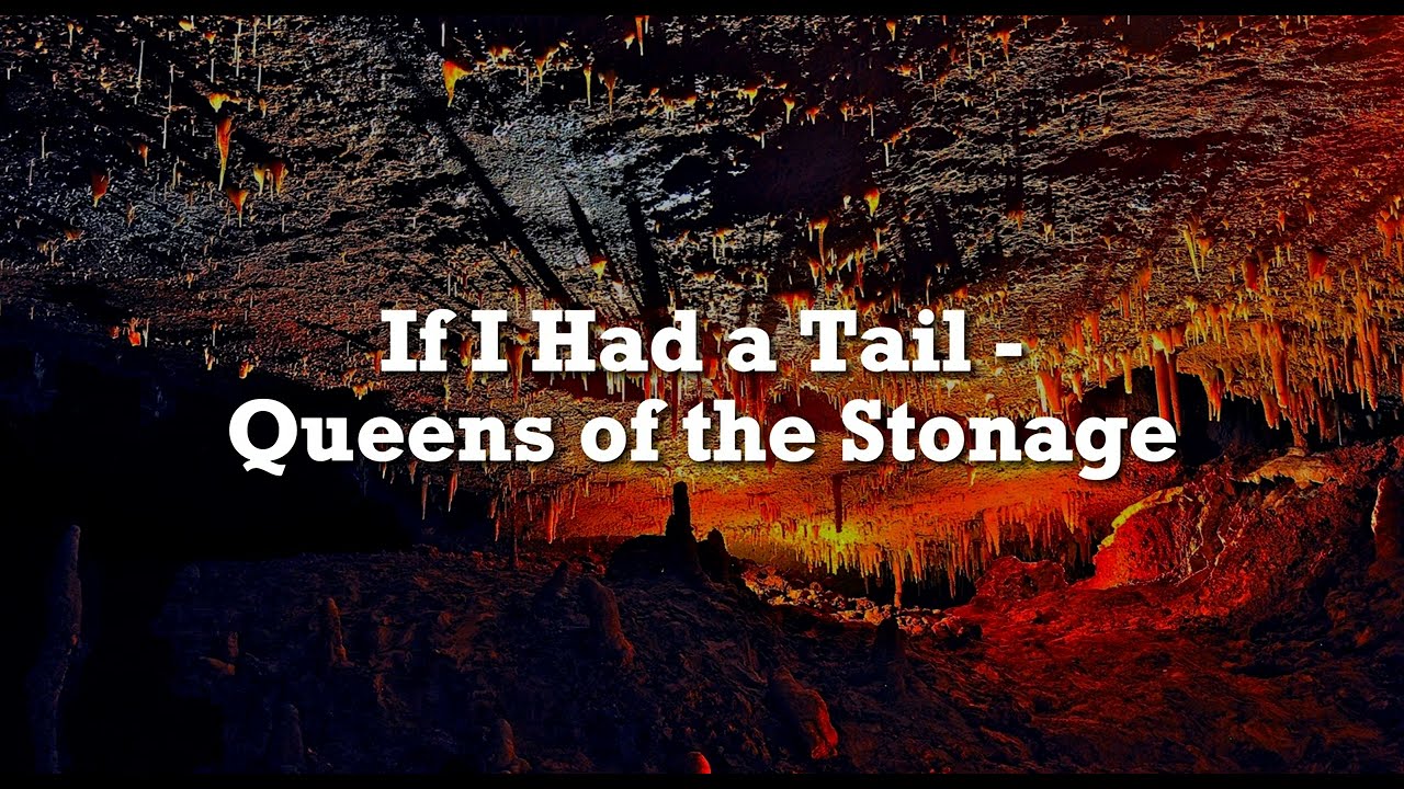 Queens of the Stone Age - If I Had a Tail (Lyrics)
