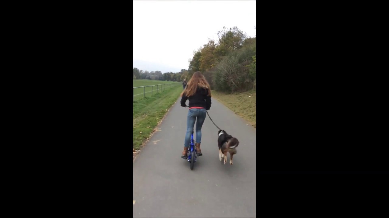 Brizon Stepwing- Pedal Scooter Stepper Bike