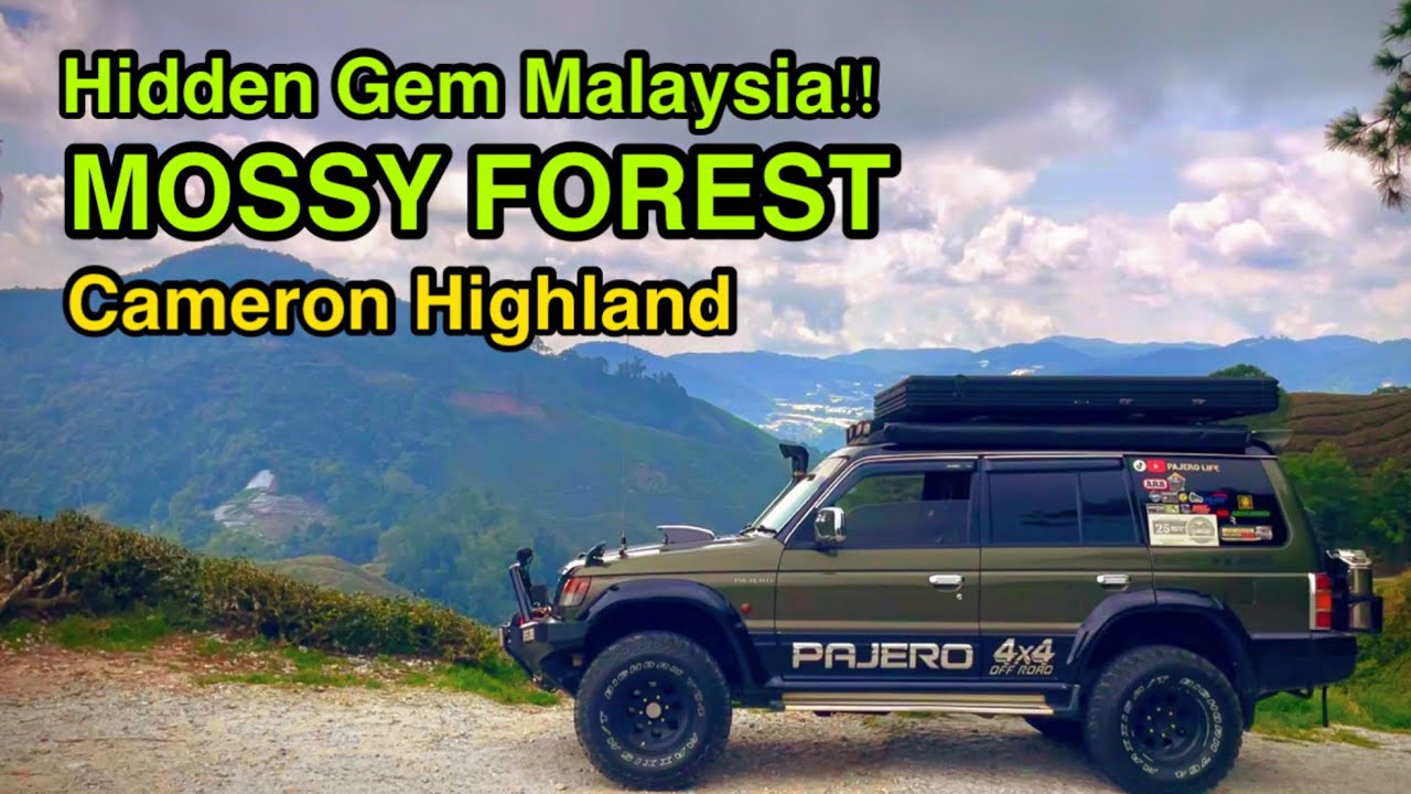 PENGALAMAN NAIK PAJERO KE MOSSY FOREST | Hutan kabus penuh misteri #4x4 #offroad 