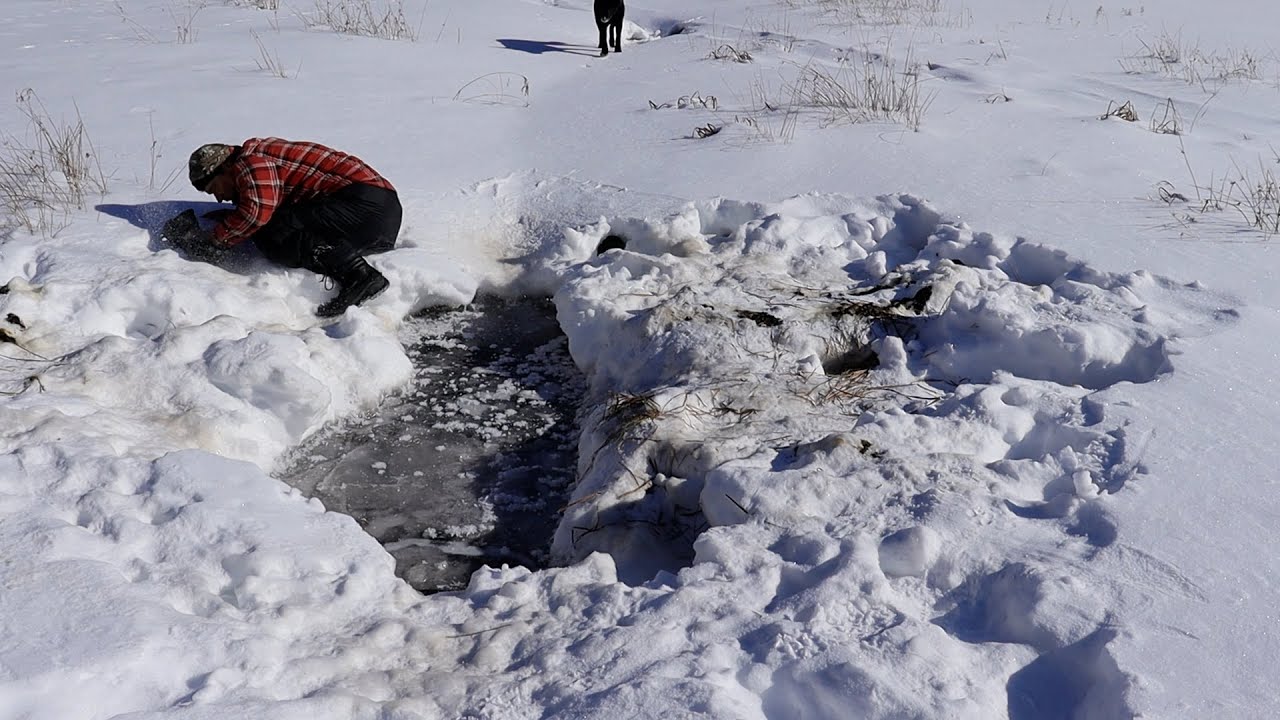 I fell through the ice