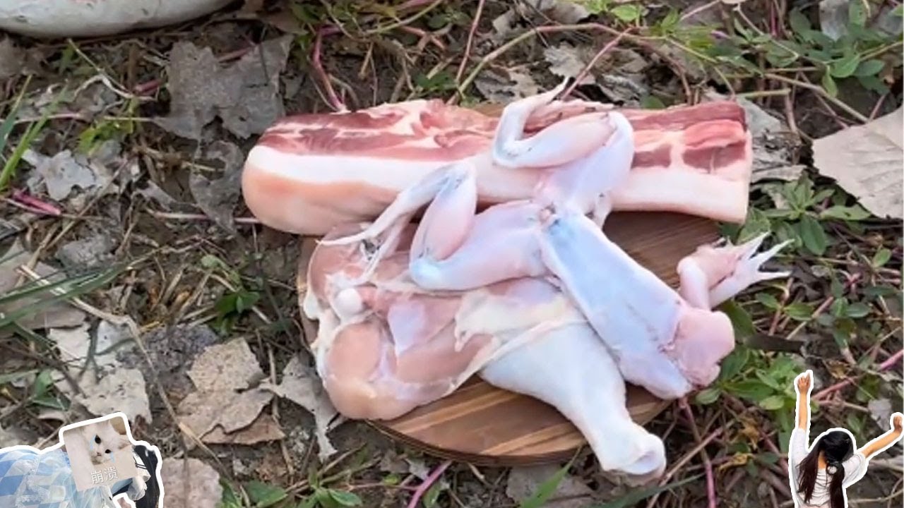 这几天在帮大爷放牛，给了我很丰厚的报酬#dog #food #jk