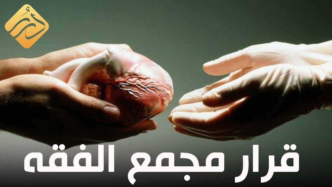 قرار مجمع الفقه الإسلامي الدولي حول نقل الأعضاء .. د. علي القره داغي | الإسلام والحياة