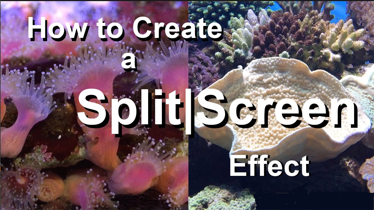 How to Create a Split Screen Effect in iMovie and Screenflow