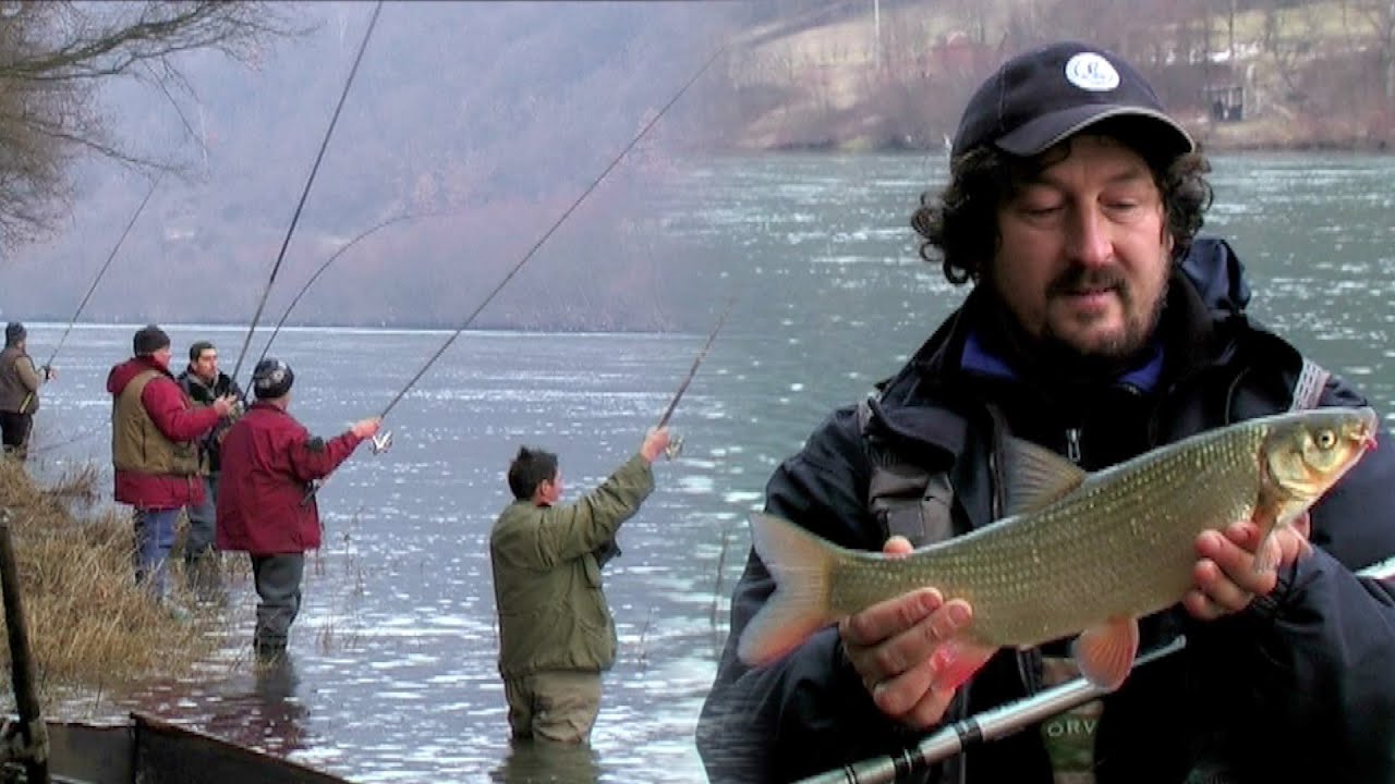 Pecanje na plovak - Skobalj - reka Drina | Fishing tips - Fishing on river Drina