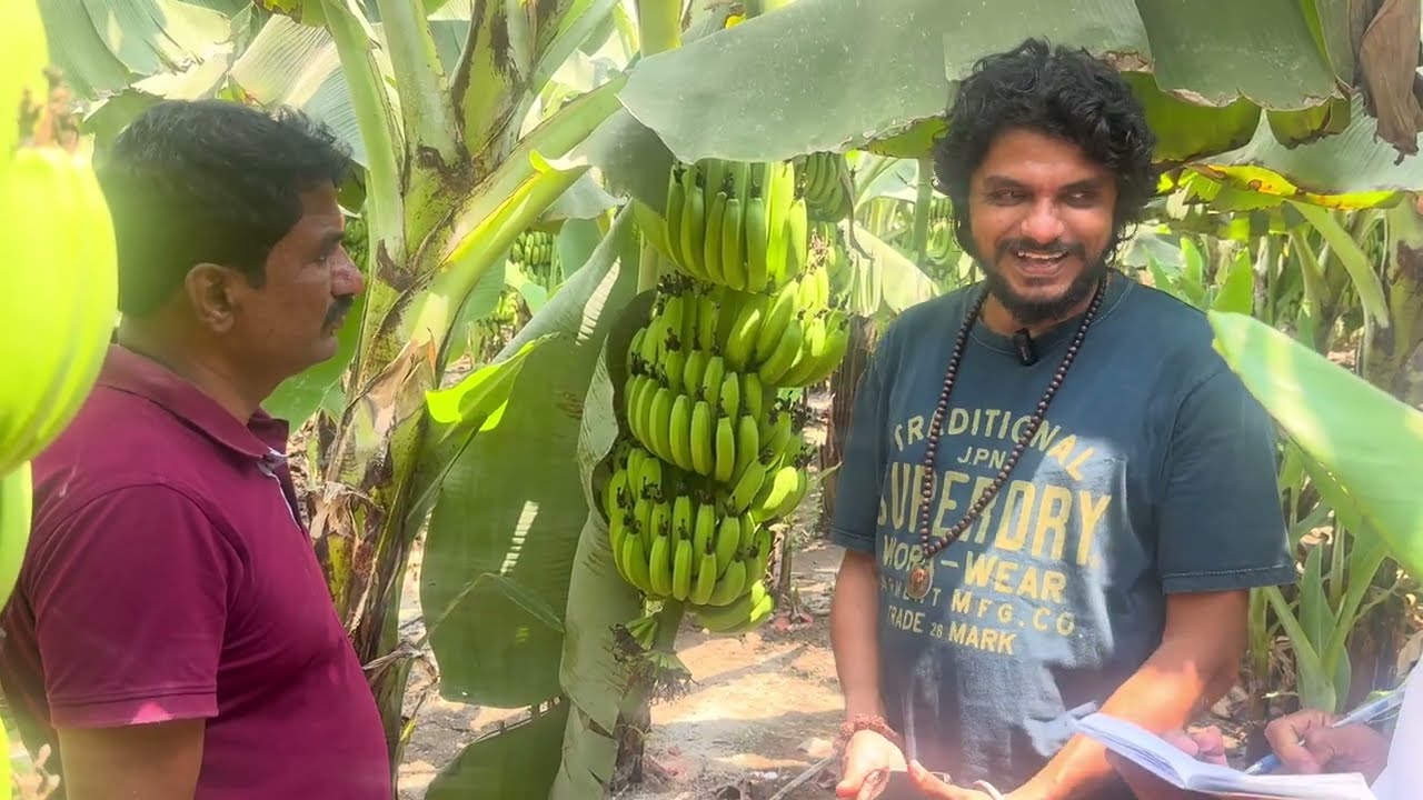 5499- AP किसान पाठशाला FARMER SCHOOL in Banana Farming | केला खेती | 7619236079 Bala Saheb
