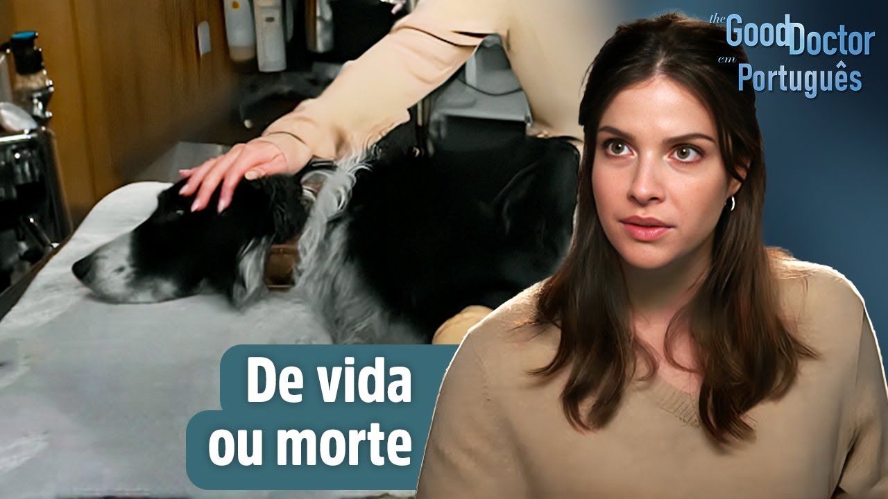 Se cortando o braço ele sobrevive, corte! | Episódio 11, Temporada 6 | The Good Doctor em Português