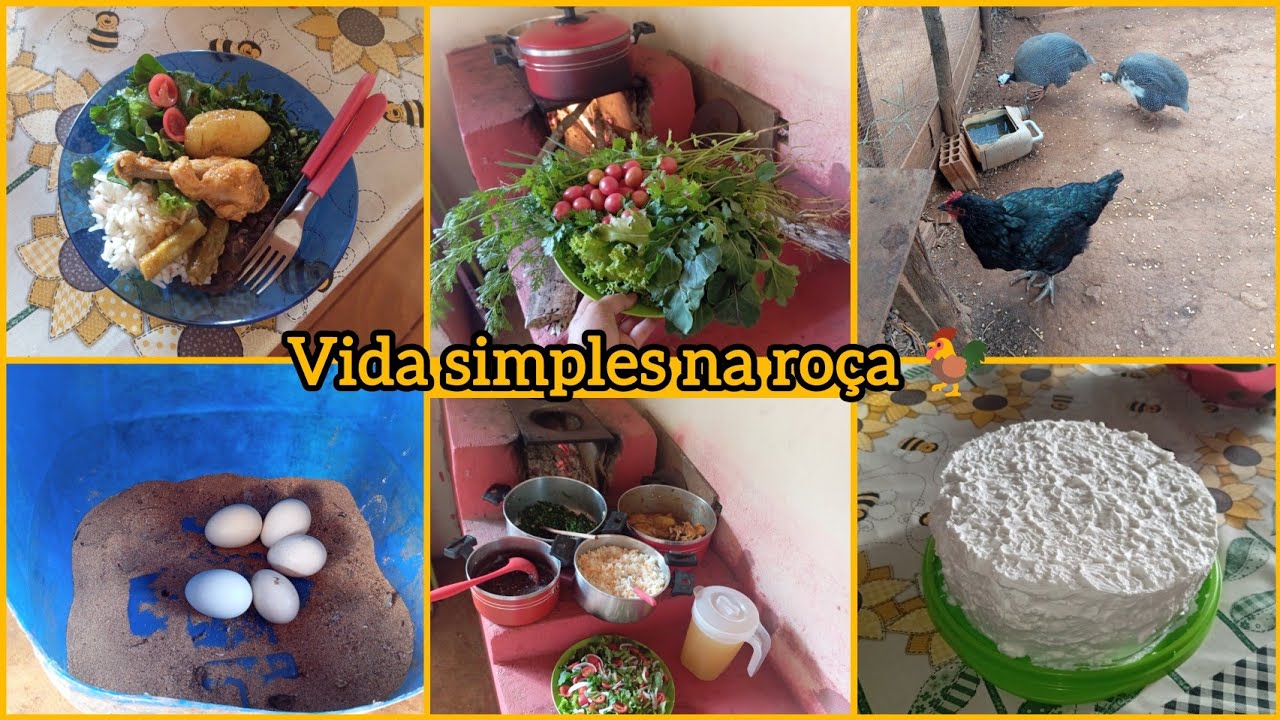 Vida na roça🌵almoço no fogão a lenha🪵 frango com quiabo 😋 colheita na horta🥗bolo recheado de coco 🥥