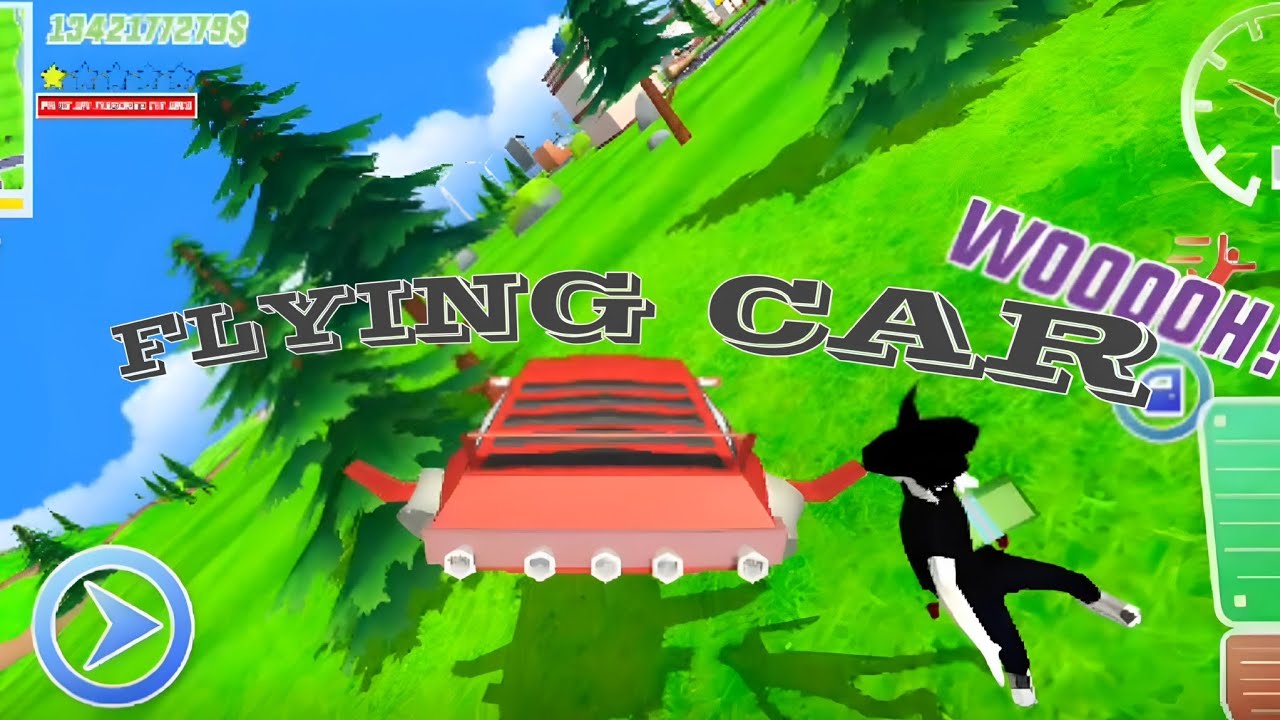 FLYING CAR  BHARATMALVY 