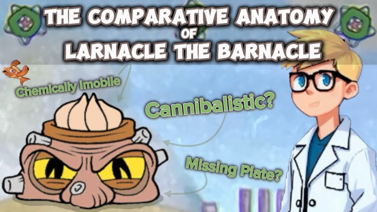 The Comparative Anatomy of Larnacle the Barnacle —Cuphead